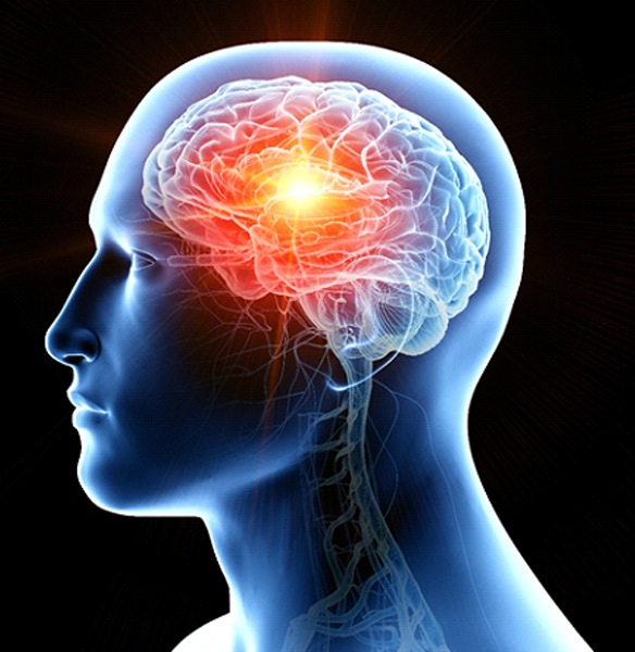 Illustration of human brain, cause of central sleep apnea